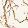 Cherry Blossoms - Image 2
