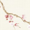 Cherry Blossoms - Image 3