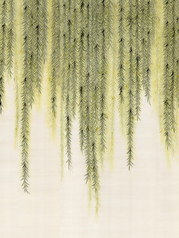 Willow - Image 2