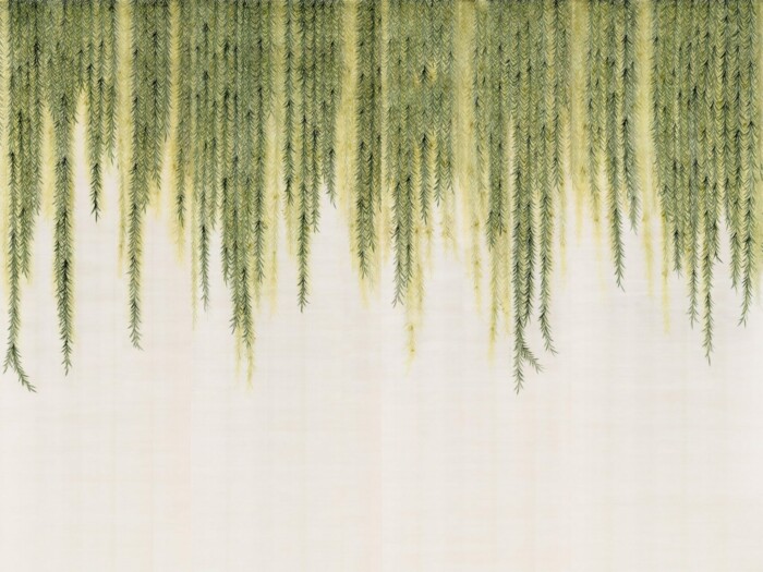 Willow - Image 3