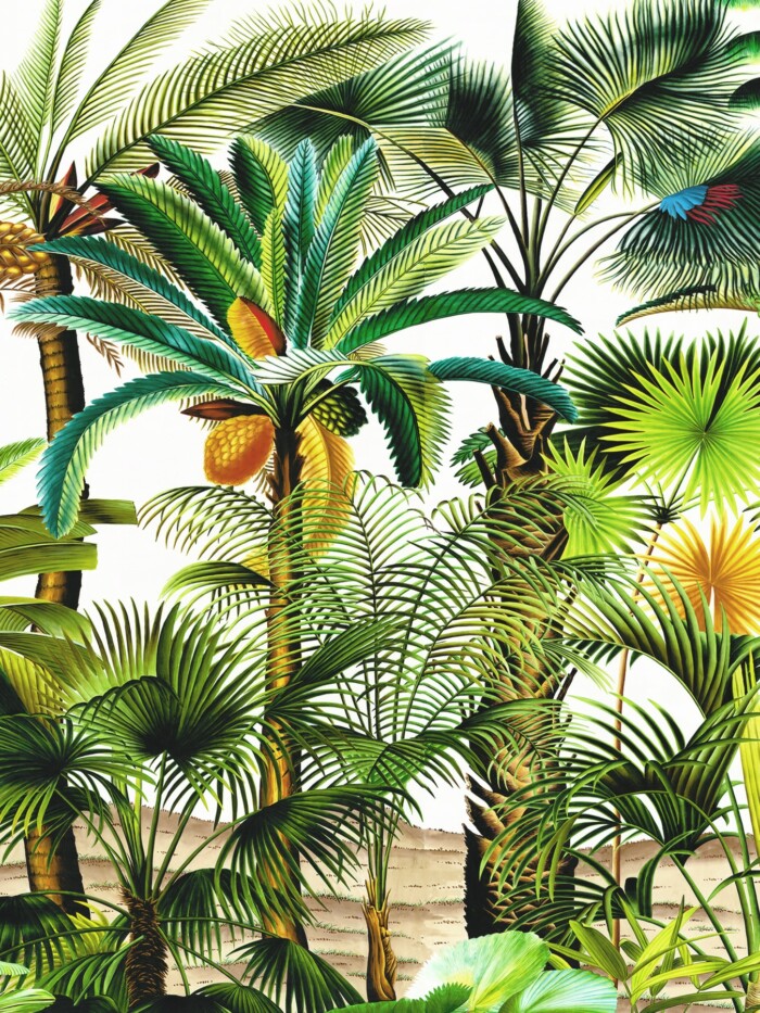 Palmetum - Image 2