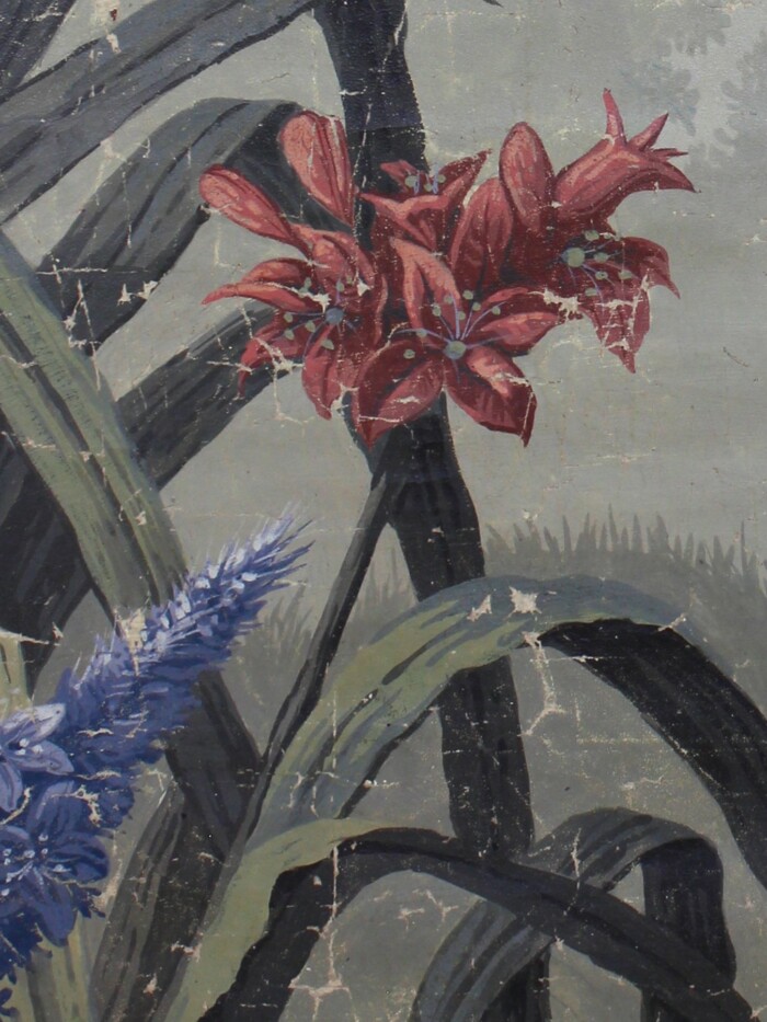 Tropical Views - Image 2