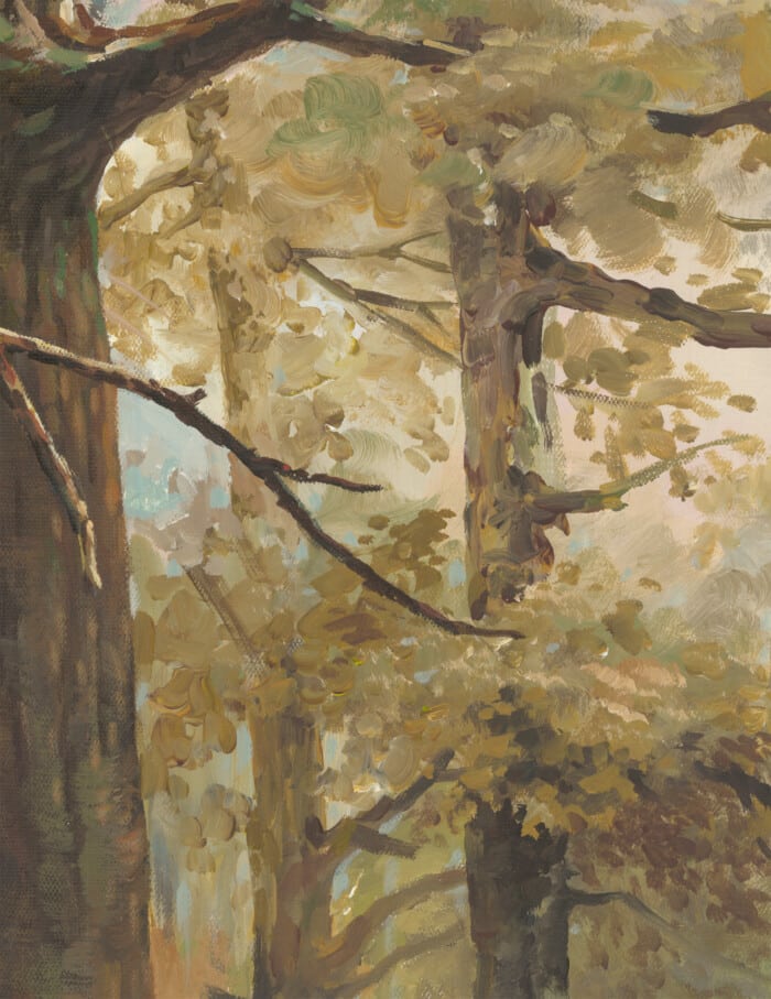 Autumn River - Image 2